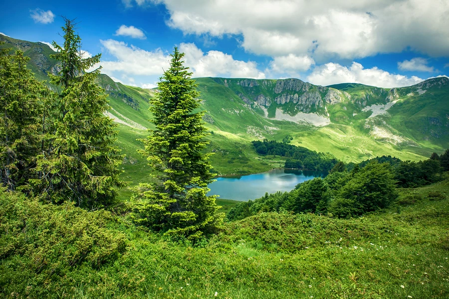Lago Pesica