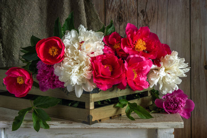 Ramo de peonías sobre la mesa Rompecabezas (Plantas, Flores) | Puzzle Garage