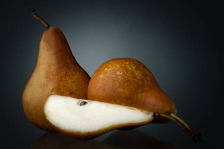 Pears on a dark background