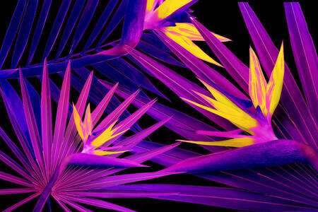 Neon tropical leaves