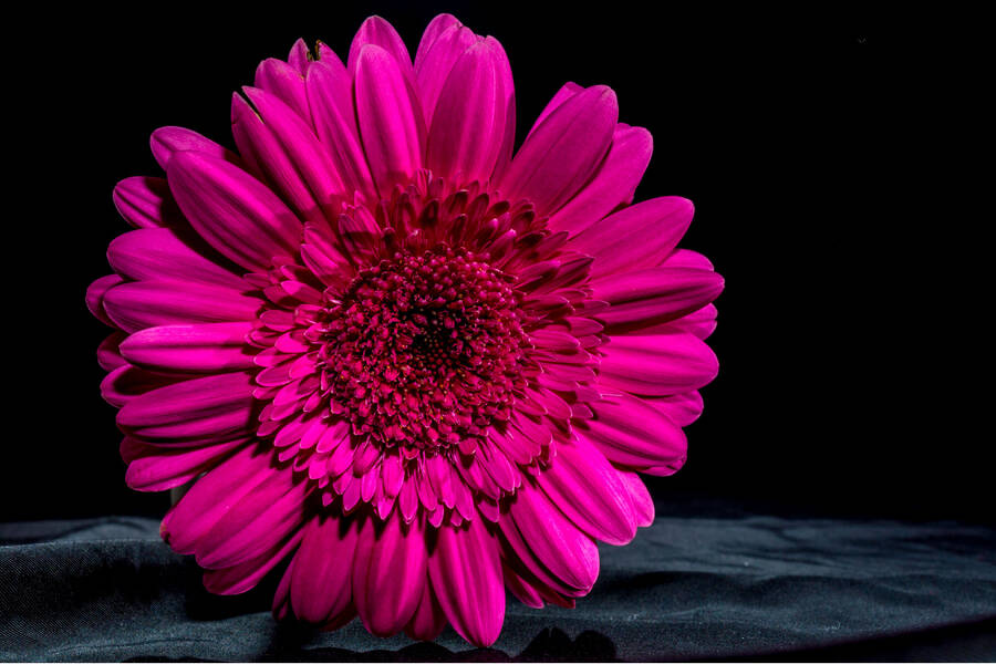 New Puzzles Puzzle Garage (Page 17)