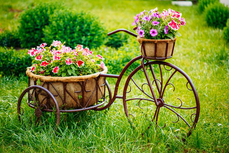 Bicicleta decorativa com flores