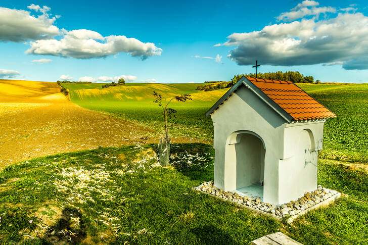 Capilla en medio de un campo