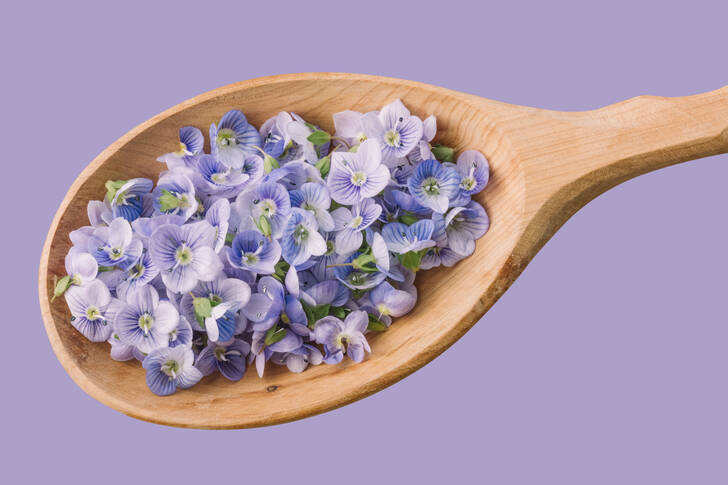 Flowers in a spoon