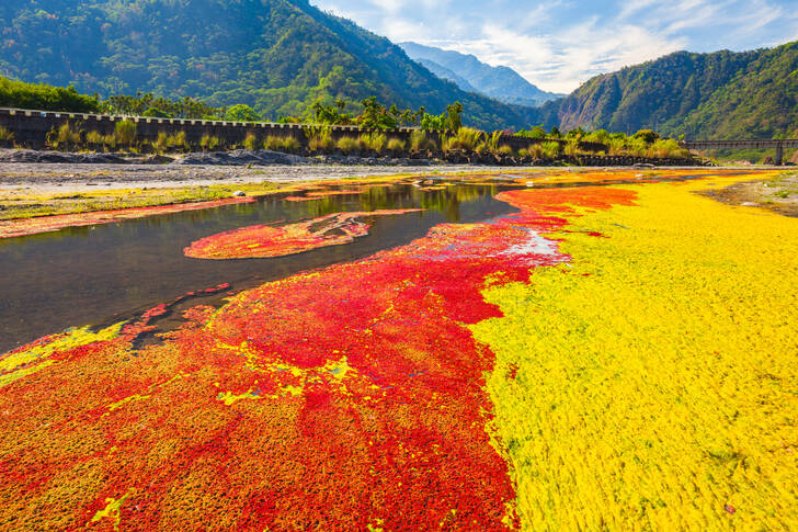 Rio Colorido