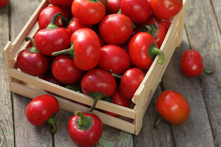 Chiles Viri Viri en una caja