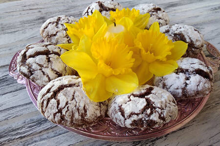 Narcissus di atas kue keping cokelat