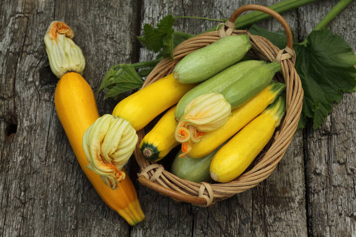 Zucchini in a basket