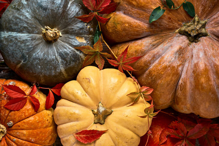 Pumpkins with autumn leaves