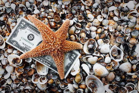 שטר של שני דולרים על צדפים