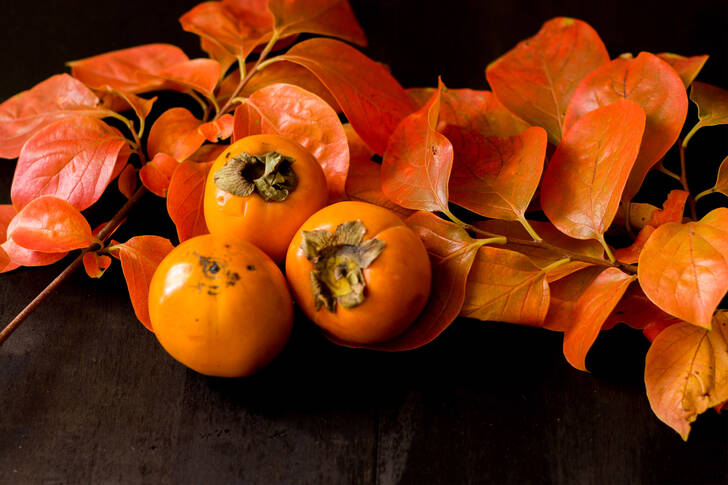 البرسيمون على أوراق الخريف