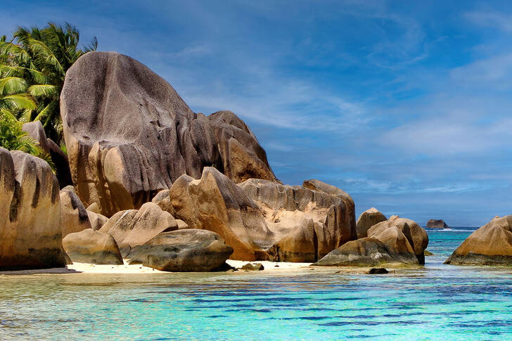 열대 해변의 바위들