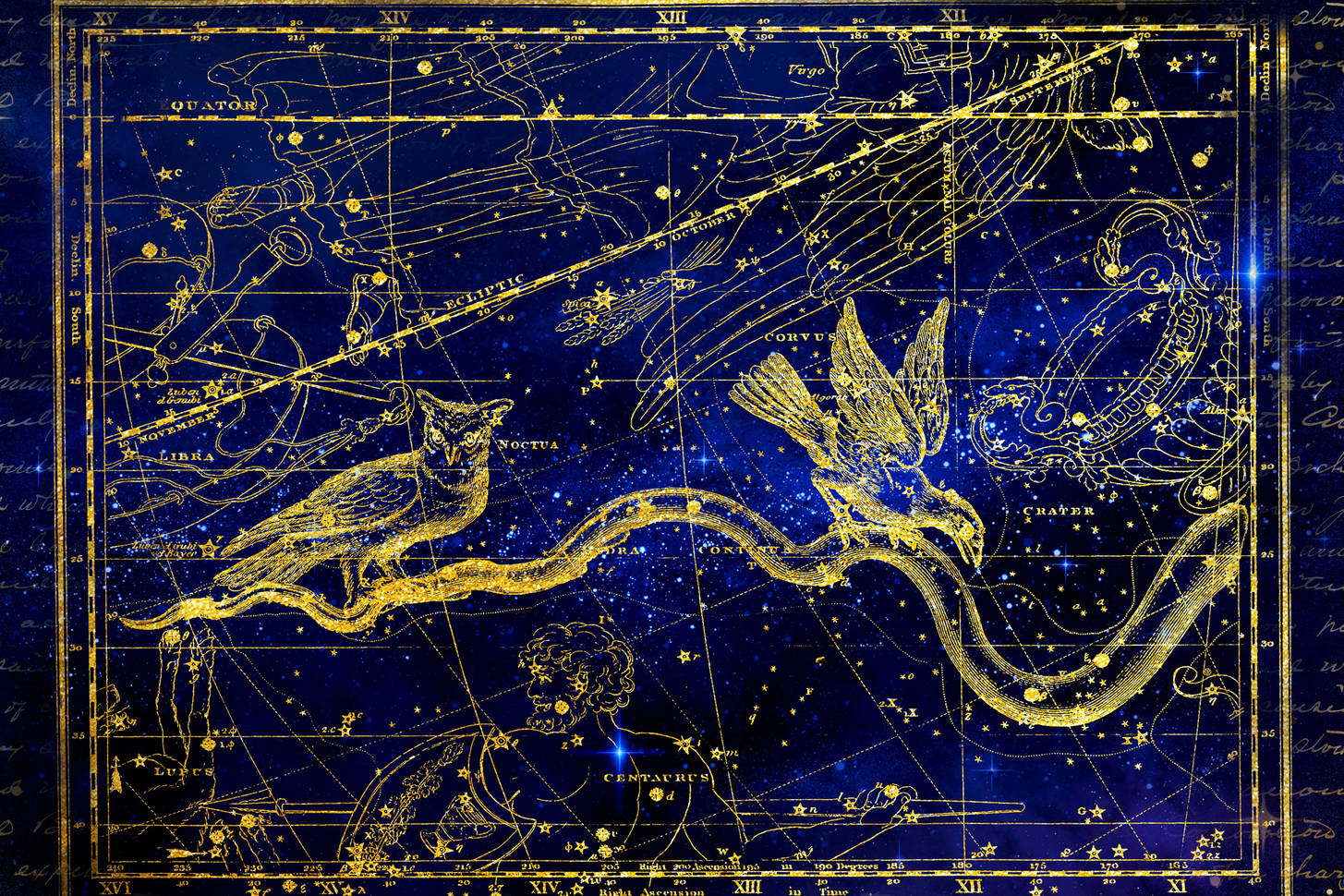 Constellation map Jigsaw Puzzle (Space, Astronomy) Puzzle Garage
