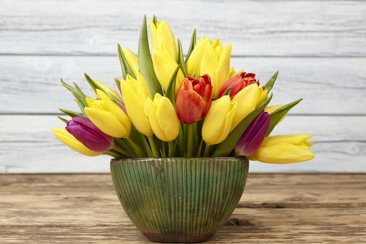 Tulips on a wooden table