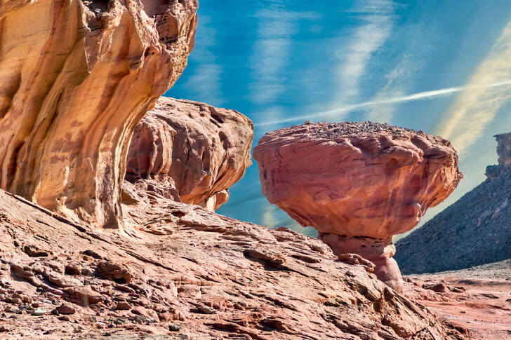 Steinpilze im Timna-Tal