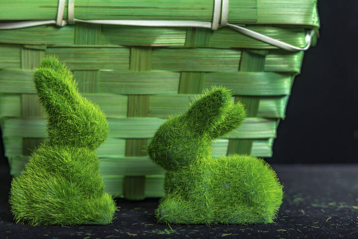 Påskegrønne kaniner