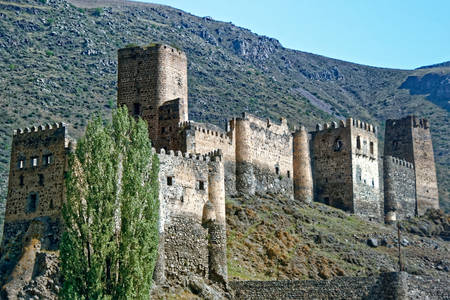 Fortaleza Khertvisi