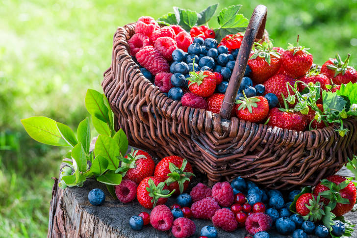 Cesta de frutas vermelhas