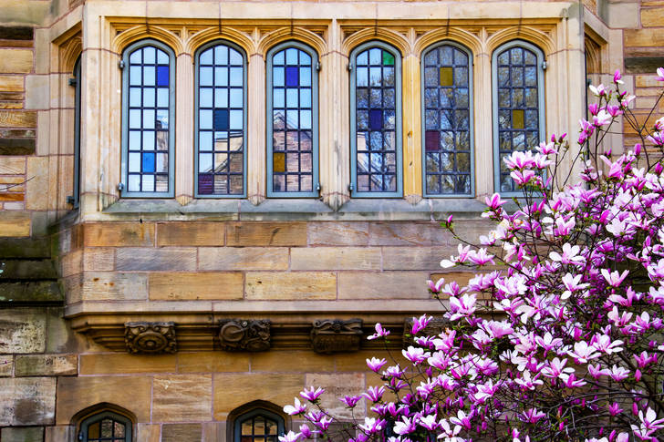 Victorian windows of Yale University