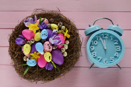 Nest with easter eggs and alarm clock on pink background