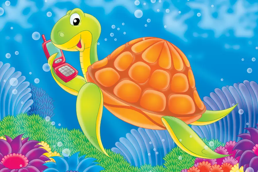 Zeeschildpad