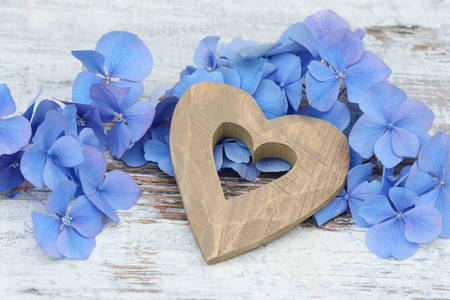 Wooden heart and hydrangea flowers