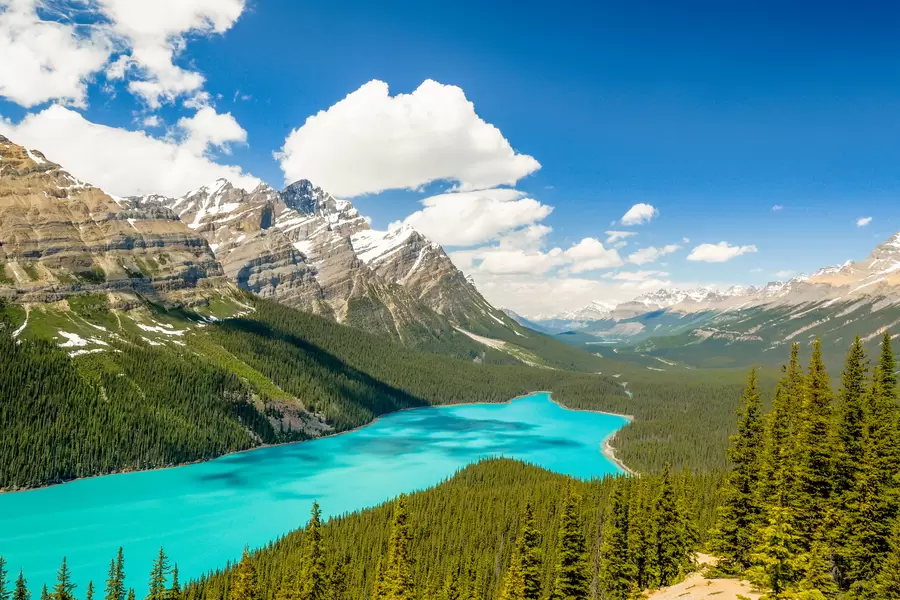 Jezioro Peyto w Parku Narodowym Banff
