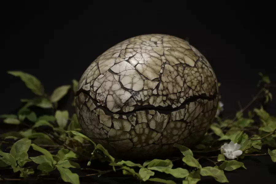 Telur hewan prasejarah