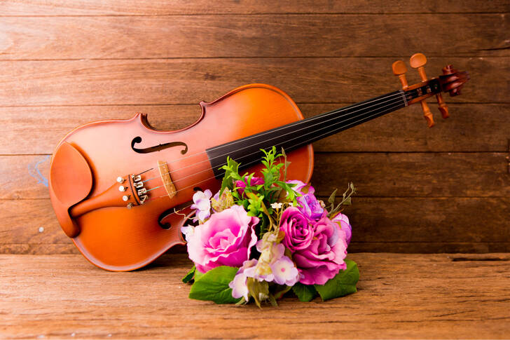 Violino e buquê de flores