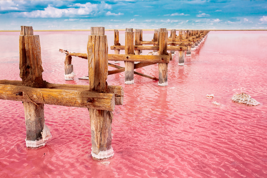 Uitzicht op het roze meer