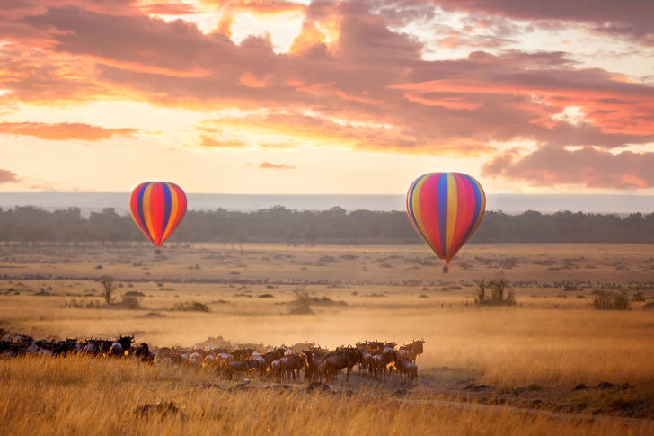 Balloons in Masai Mara