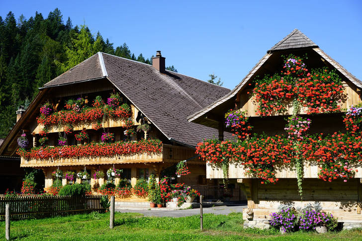 Flower houses