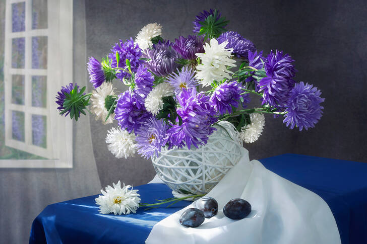 Asters sur la table