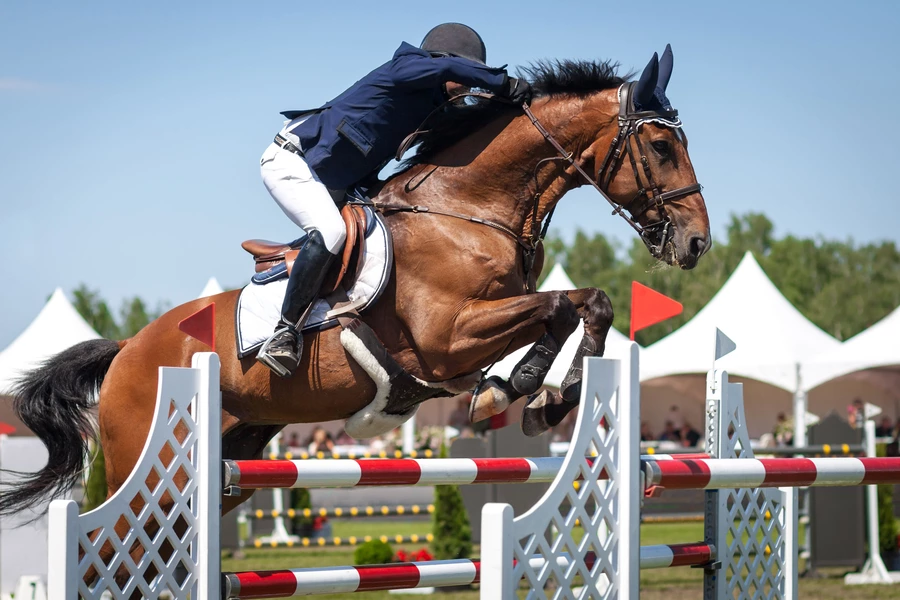 Salto ecuestre