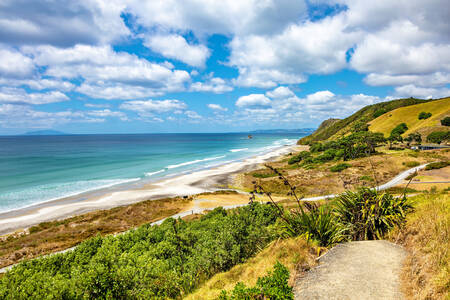 Mangawai Heads Beach in New Zealand