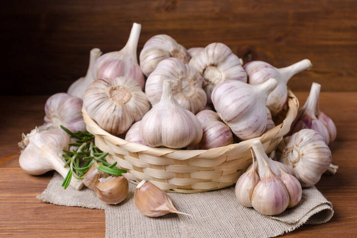 Garlic in a basket