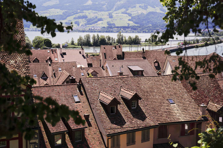 Toits en tuiles de Rapperswil-Jona