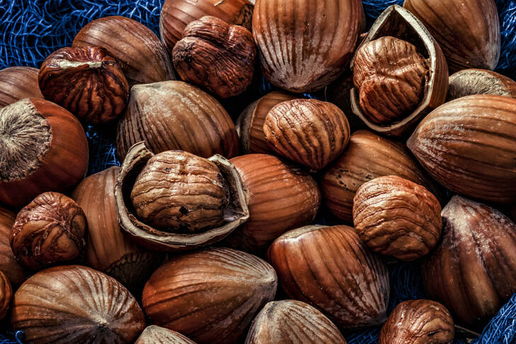 Sarapuupähklid koores