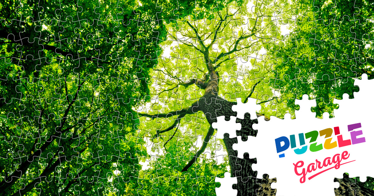 Forest oak Jigsaw Puzzle (Plants, Trees) Puzzle Garage