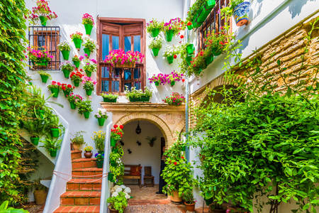 Huis met bloemen in Cordoba