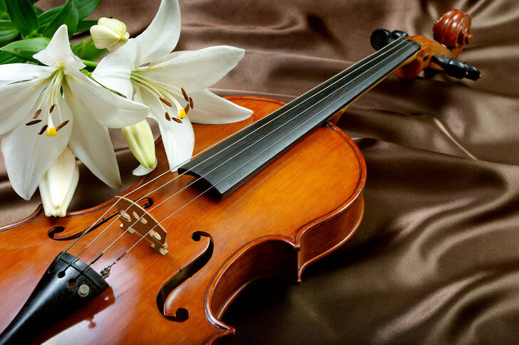 Violin and lilies