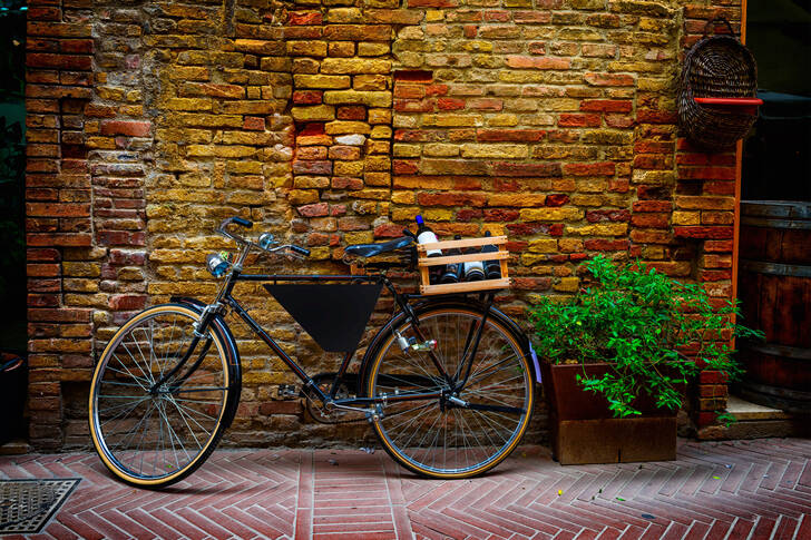 Bicycle at the brick house
