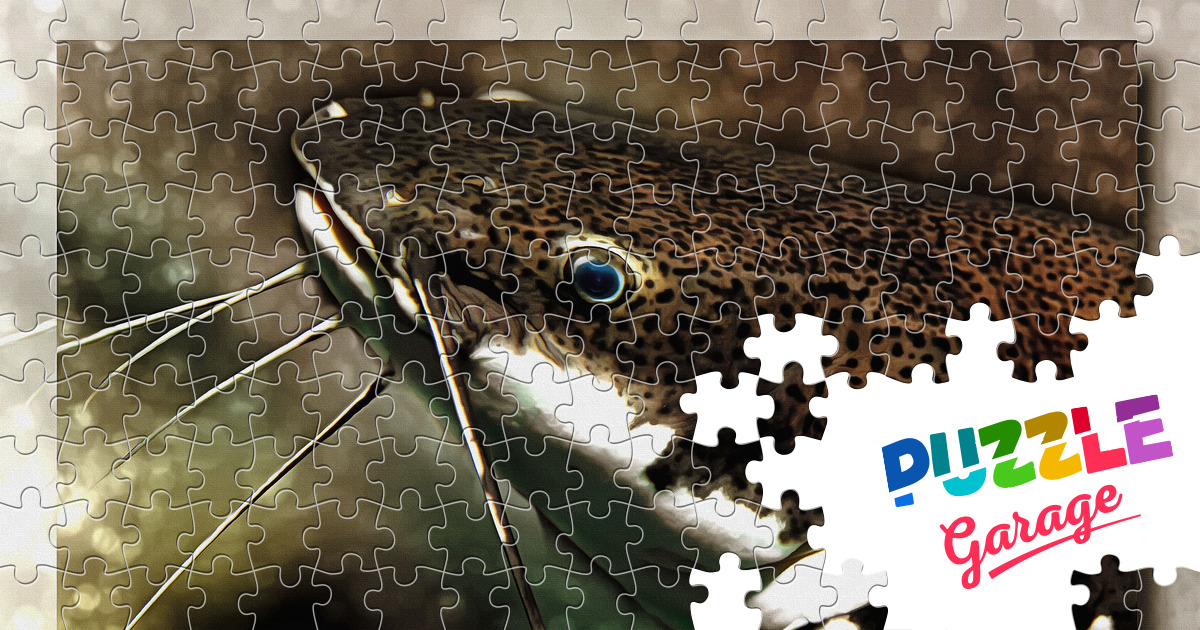 Picture "Catfish" Jigsaw Puzzle (Art, Painting) Puzzle Garage
