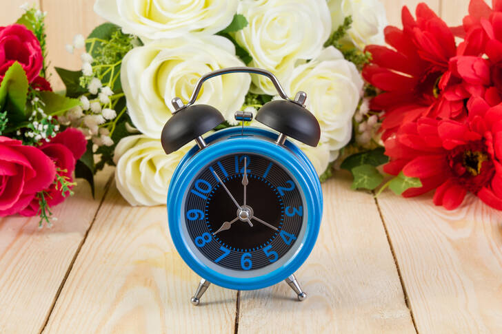 Blue alarm clock and flowers