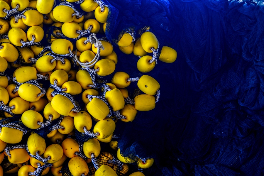 Filets de pêche bleus