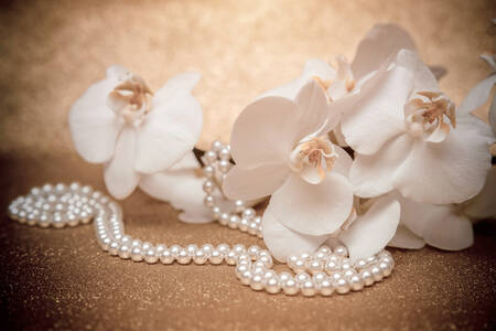 White orchids and pearl necklace