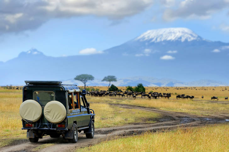 Safari divoké zvěře Masai Mara