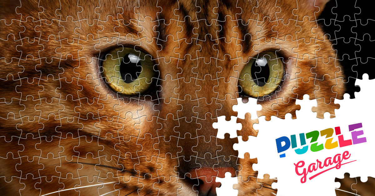 Bengal cat close up Jigsaw Puzzle (Animals, Pets) Puzzle Garage