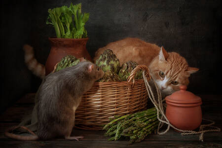 Кот и крыса на столе