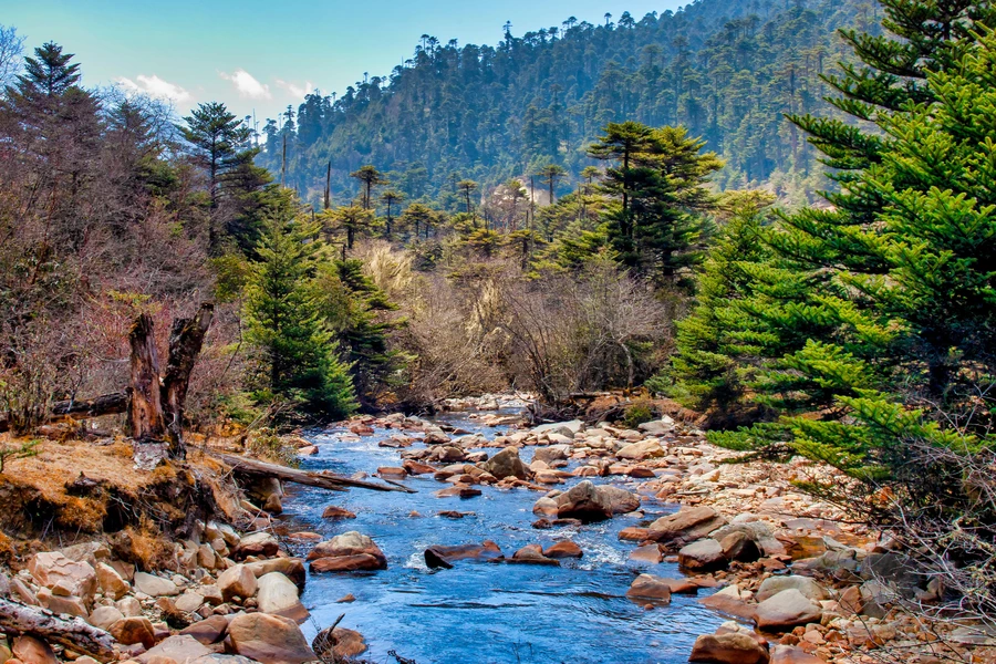 Park Narodowy Jigme Singai Wangchuk